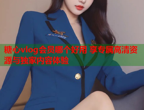 糖心vlog会员哪个好用 享专属高清资源与独家内容体验  第1张
